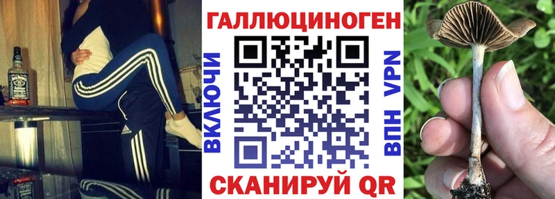 Псилоцибиновые грибы MAGIC MUSHROOMS  Электросталь 