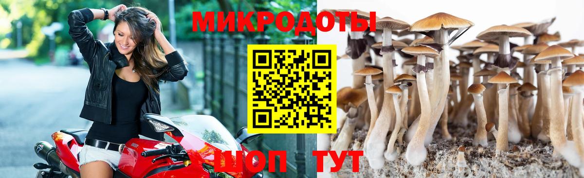 Электросталь  Галлюциногенные грибы MAGIC MUSHROOMS  Псилоцибиновые грибы ЛСД  Вход с VPN 