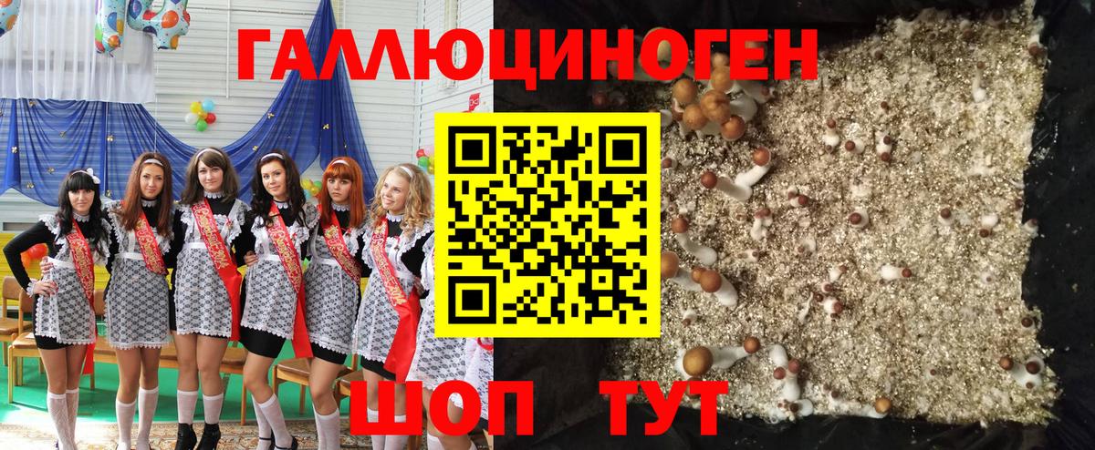 Псилоцибиновые грибы мухоморы Электросталь